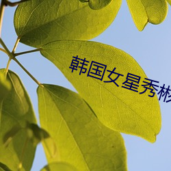 韩国女星秀彬