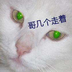 哥几个走着