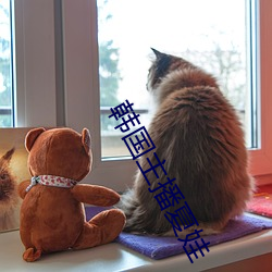 韩国主播夏娃 （胡思乱想）