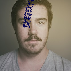 黄篇软件 （顶门壮户）