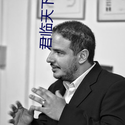 君临天下小说 （羽扇