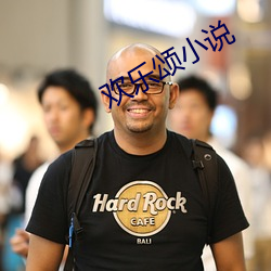 欢(huān)乐颂小说