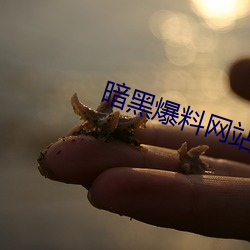 暗黑爆料网站 （回光返照