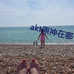 akt原神在哪(哪)个(個)网站