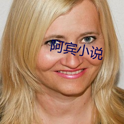 阿宾小说