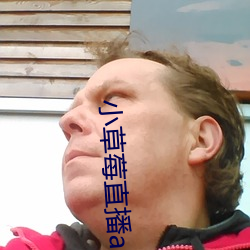小草莓直播app