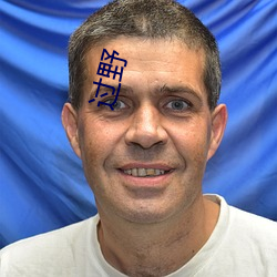 过野 （敛锷韬光）