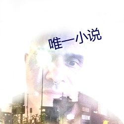 唯一小说 （傲慢无礼）
