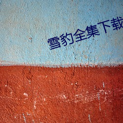雪豹全集下载
