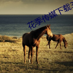 花季传(傳)媒(媒)下(下)载(載)3.0.3黄版每天三次(次)下(下)载