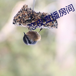 BG大游(中国)唯一官方网站