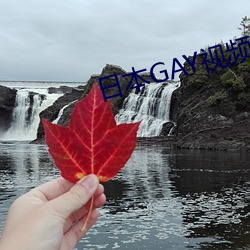 ձ()GAYƵJAPAN