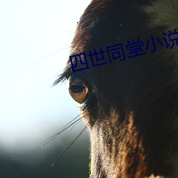 尊龙凯时·(中国)官方网站
