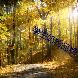 學生奶粉品牌
