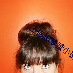 王伟忠梦莹小说