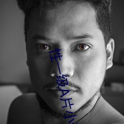 性一级A片小说