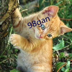 98gan