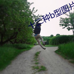 十二种b型图片