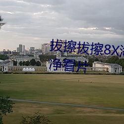 拔(拔)擦拔(拔)擦(擦)8X海外永久华人免费纯净(淨)看片