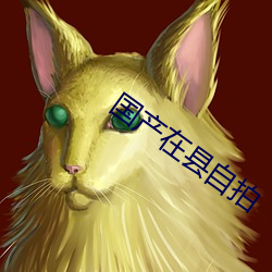國産在縣自拍