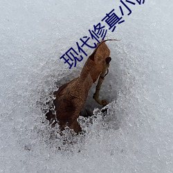 現代修真小說