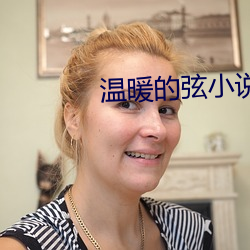 温暖的弦小说