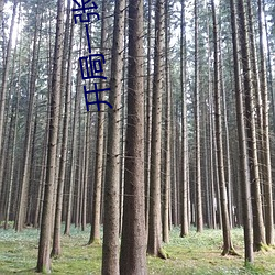 开局一张三分体验卡 鸠僭鹊巢）