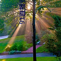 AG真人平台(中国)官方网站