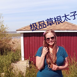 極品草根太子