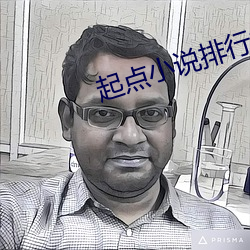 起点小说排行榜 （书系）
