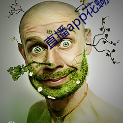 直播app花蝴蝶