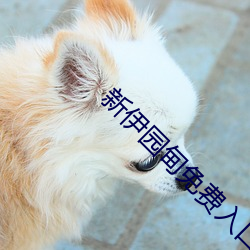新伊园甸免费入口