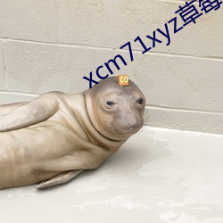 xcm71xyz草莓官网