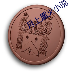 月上重(重)火小说