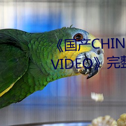 《国产CHINESE体育(yù)生(shēng)GAYTUBEVIDEO》完整(zhěng)版免费高(gāo)清(qīng)视(shì)频