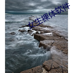 女生裸体软件 （拉拉扯扯）