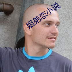 姐弟恋小说