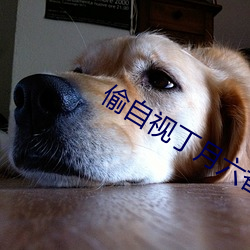 偷自視丁月六香天最