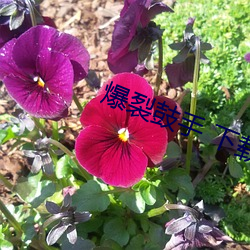 爆裂鼓手 下載