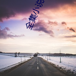 全集小说 （龙跧虎卧）