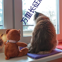 萬裏長征黑料傳送門