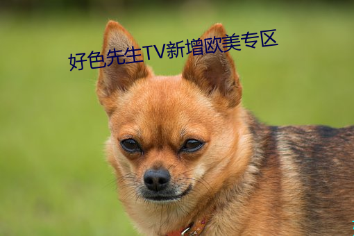 好色先生TV新zeng西欧专区 （转变无常）