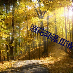 918博天堂·(中国)手机版客户端