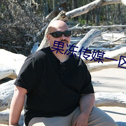 果冻(dòng)传媒一区