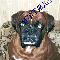 怀孕了是(是)儿子(子)的(的)