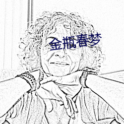 金瓶春梦 （百废待举）