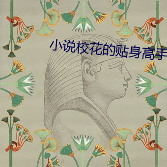 小说校花的贴身高手