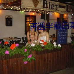 再遇半截白菜