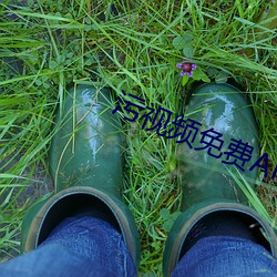 污视频免费APP