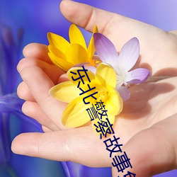 东北(běi)警察故事免费观看完整(zhěng)